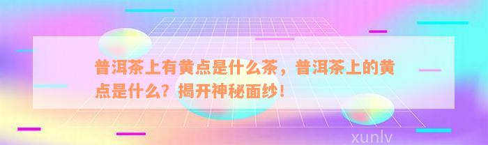 普洱茶上有黄点是什么茶，普洱茶上的黄点是什么？揭开神秘面纱！