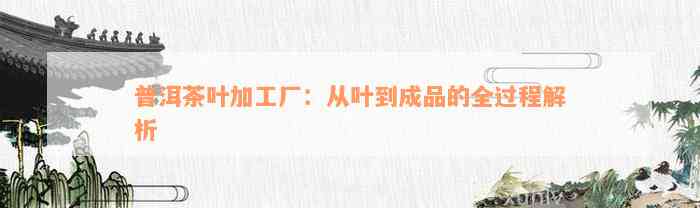 普洱茶叶加工厂：从叶到成品的全过程解析