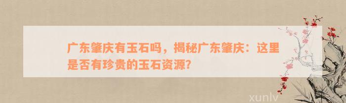 广东肇庆有玉石吗，揭秘广东肇庆：这里是否有珍贵的玉石资源？