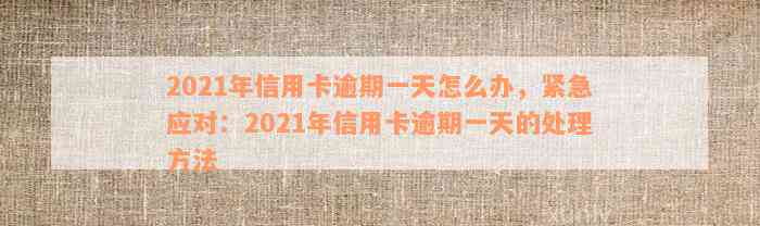 2021年信用卡逾期一天怎么办，紧急应对：2021年信用卡逾期一天的处理方法