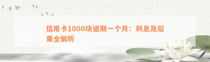 信用卡1000块逾期一个月：利息及后果全解析