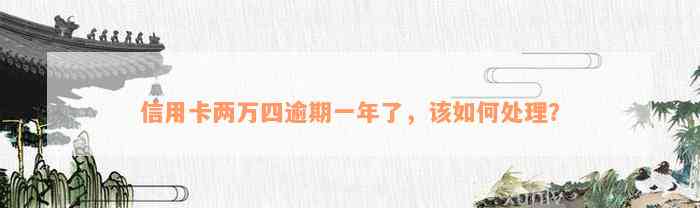 信用卡两万四逾期一年了，该如何处理？