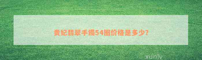 贵妃翡翠手镯54圈价格是多少？