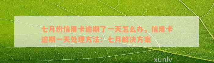 七月份信用卡逾期了一天怎么办，信用卡逾期一天处理方法：七月解决方案