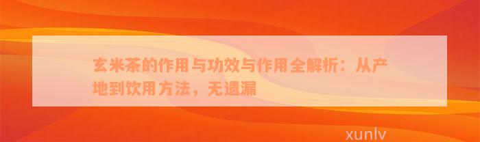 玄米茶的作用与功效与作用全解析：从产地到饮用方法，无遗漏