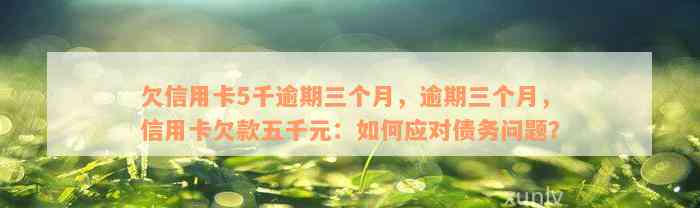 欠信用卡5千逾期三个月，逾期三个月，信用卡欠款五千元：如何应对债务问题？