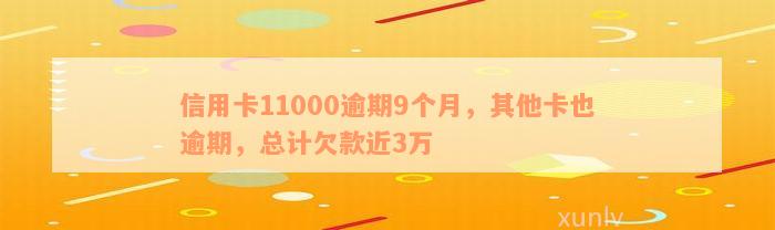 信用卡11000逾期9个月，其他卡也逾期，总计欠款近3万