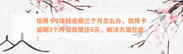 信用卡6块钱逾期三个月怎么办，信用卡逾期3个月仅需偿还6元，解决方案在此！