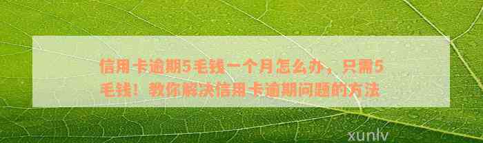 信用卡逾期5毛钱一个月怎么办，只需5毛钱！教你解决信用卡逾期问题的方法