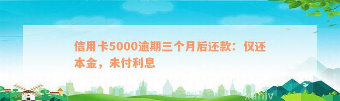 信用卡5000逾期三个月后还款：仅还本金，未付利息