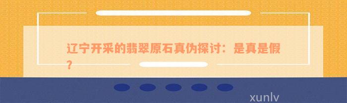 辽宁开采的翡翠原石真伪探讨：是真是假？