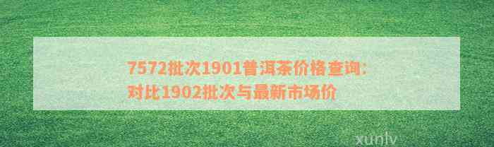 7572批次1901普洱茶价格查询：对比1902批次与最新市场价