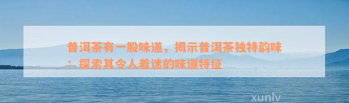 普洱茶有一股味道，揭示普洱茶独特韵味：探索其令人着迷的味道特征