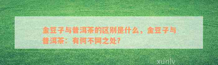 金豆子与普洱茶的区别是什么，金豆子与普洱茶：有何不同之处？