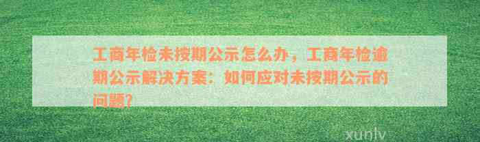 工商年检未按期公示怎么办，工商年检逾期公示解决方案：如何应对未按期公示的问题？