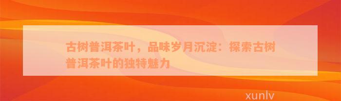 古树普洱茶叶，品味岁月沉淀：探索古树普洱茶叶的独特魅力