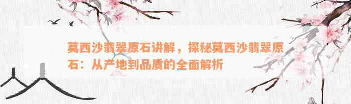 莫西沙翡翠原石讲解，探秘莫西沙翡翠原石：从产地到品质的全面解析