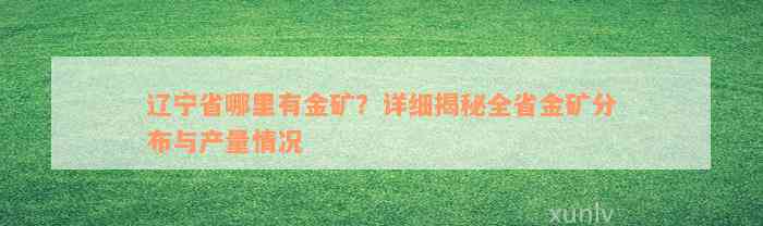 辽宁省哪里有金矿？详细揭秘全省金矿分布与产量情况