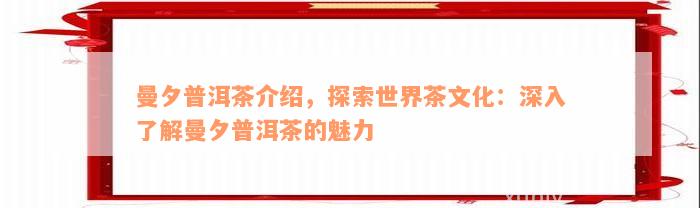 曼夕普洱茶介绍，探索世界茶文化：深入了解曼夕普洱茶的魅力