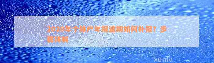 2020年个体户年报逾期如何补报？步骤详解