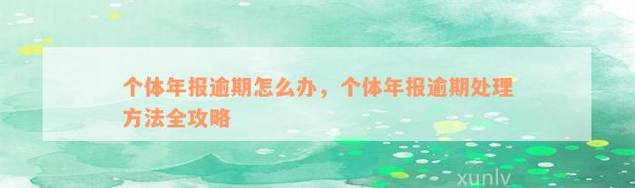 个体年报逾期怎么办，个体年报逾期处理方法全攻略