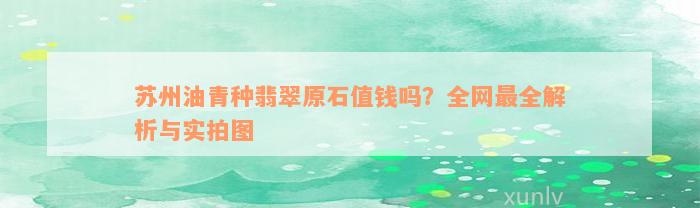 苏州油青种翡翠原石值钱吗？全网最全解析与实拍图