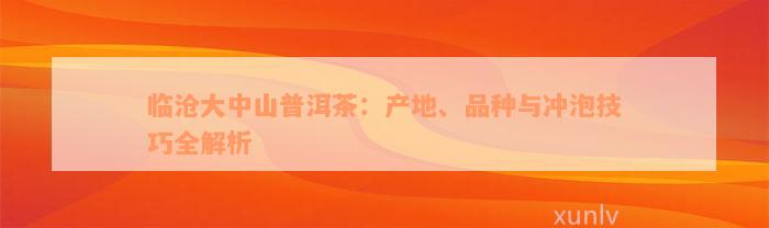 临沧大中山普洱茶：产地、品种与冲泡技巧全解析