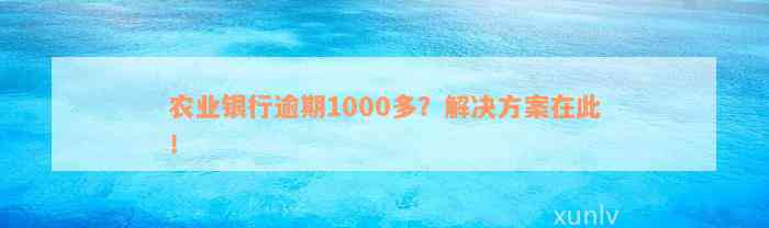 农业银行逾期1000多？解决方案在此！