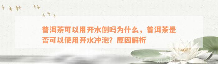 普洱茶可以用开水倒吗为什么，普洱茶是否可以使用开水冲泡？原因解析