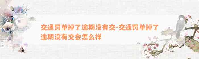 交通罚单掉了逾期没有交-交通罚单掉了逾期没有交会怎么样