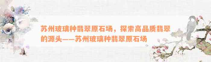 苏州玻璃种翡翠原石场，探索高品质翡翠的源头——苏州玻璃种翡翠原石场