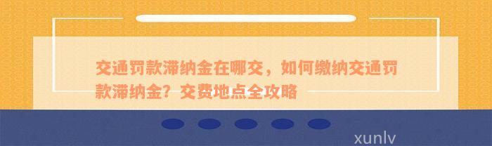 交通罚款滞纳金在哪交，如何缴纳交通罚款滞纳金？交费地点全攻略