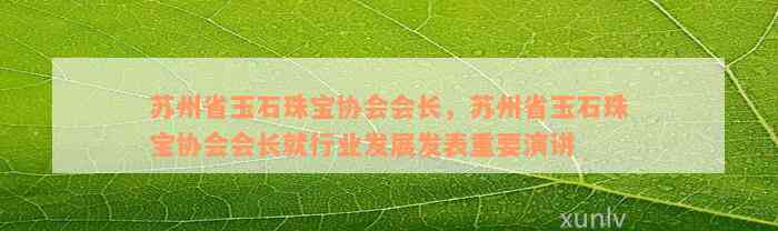 苏州省玉石珠宝协会会长，苏州省玉石珠宝协会会长就行业发展发表重要演讲