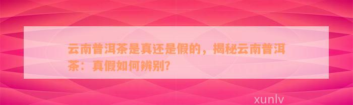 云南普洱茶是真还是假的，揭秘云南普洱茶：真假如何辨别？