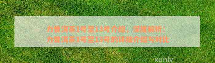 力普洱茶1号至13号介绍，深度解析：力普洱茶1号至13号的详细介绍与对比