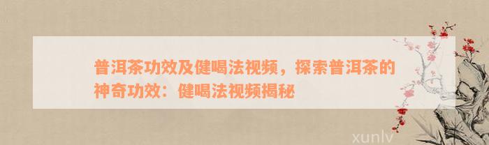 普洱茶功效及健喝法视频，探索普洱茶的神奇功效：健喝法视频揭秘