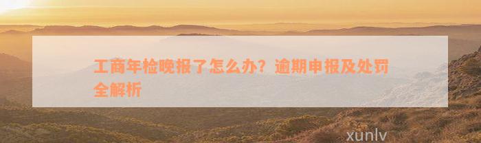 工商年检晚报了怎么办？逾期申报及处罚全解析