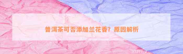 普洱茶可否添加兰花香？原因解析