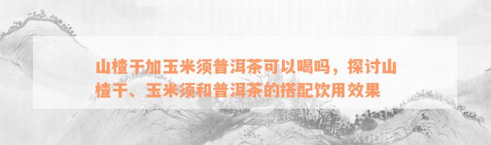 山楂干加玉米须普洱茶可以喝吗，探讨山楂干、玉米须和普洱茶的搭配饮用效果