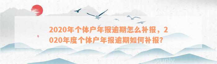 2020年个体户年报逾期怎么补报，2020年度个体户年报逾期如何补报？