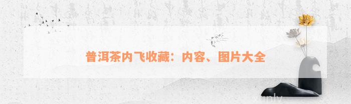 普洱茶内飞收藏：内容、图片大全