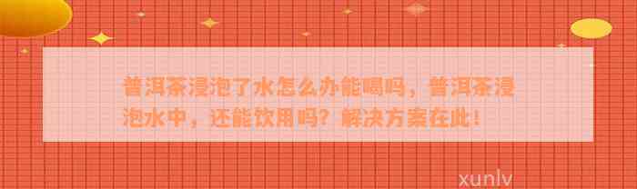 普洱茶浸泡了水怎么办能喝吗，普洱茶浸泡水中，还能饮用吗？解决方案在此！