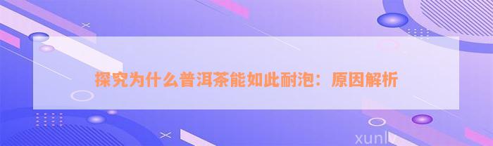 探究为什么普洱茶能如此耐泡：原因解析