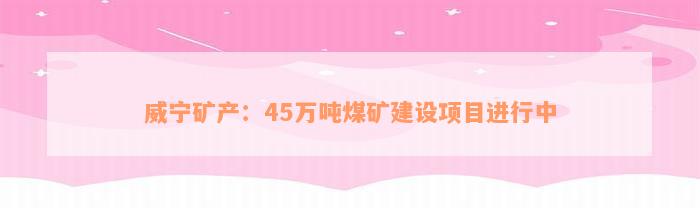 威宁矿产：45万吨煤矿建设项目进行中