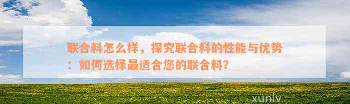 联合料怎么样，探究联合料的性能与优势：如何选择最适合您的联合料？