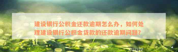 建设银行公积金还款逾期怎么办，如何处理建设银行公积金贷款的还款逾期问题？