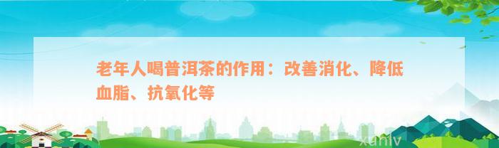 老年人喝普洱茶的作用：改善消化、降低血脂、抗氧化等