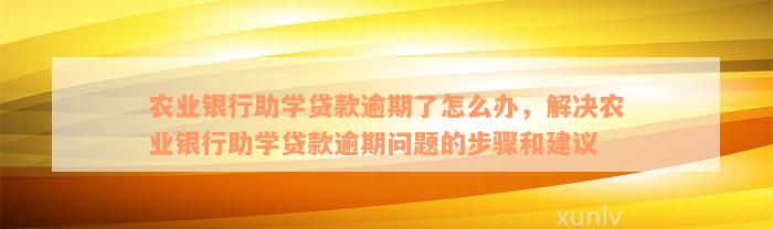 农业银行助学贷款逾期了怎么办，解决农业银行助学贷款逾期问题的步骤和建议