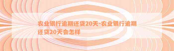 农业银行逾期还贷20天-农业银行逾期还贷20天会怎样