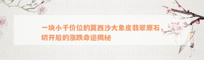 一块小千价位的莫西沙大象皮翡翠原石，切开后的涨跌命运揭秘